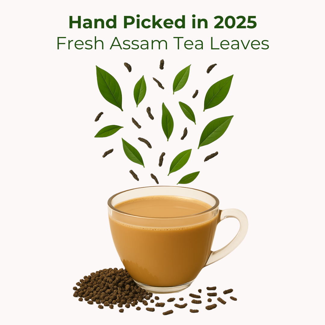 Pure Assam Second Flush Tea