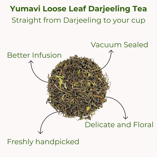 First Flush Darjeeling Tea – Loose Leaf Black Tea